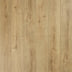 Exquisite — Harvest Oak
