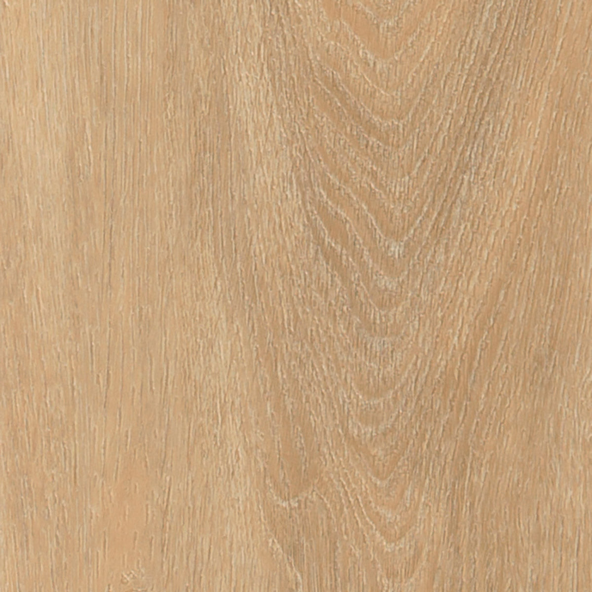 Majestic Oak — Vista