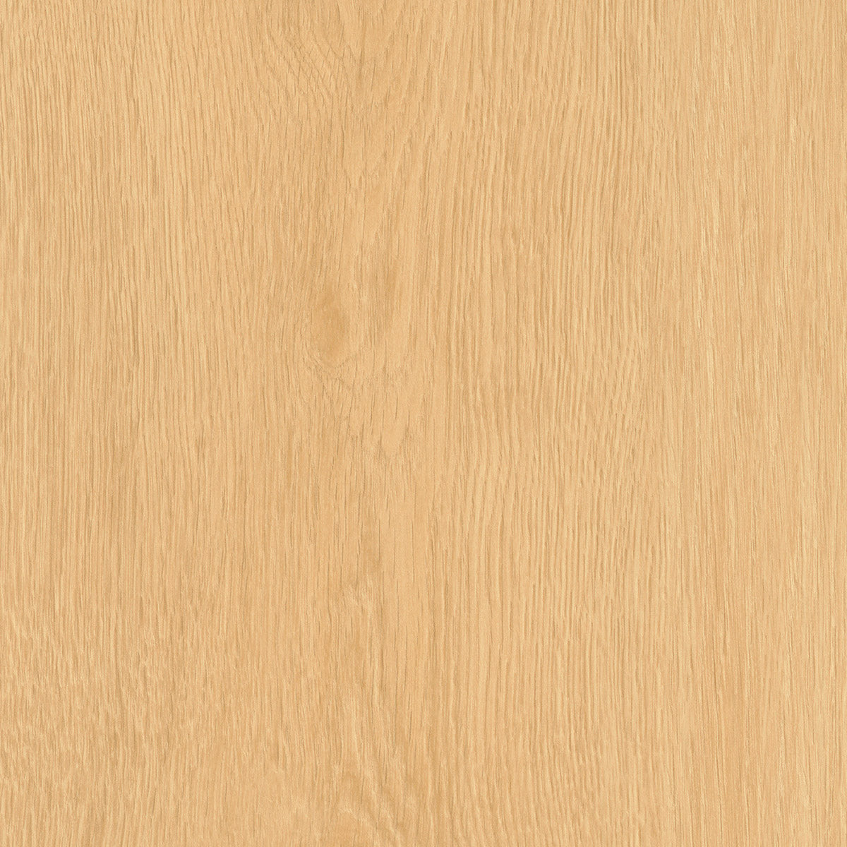 Regency Oak — Scone