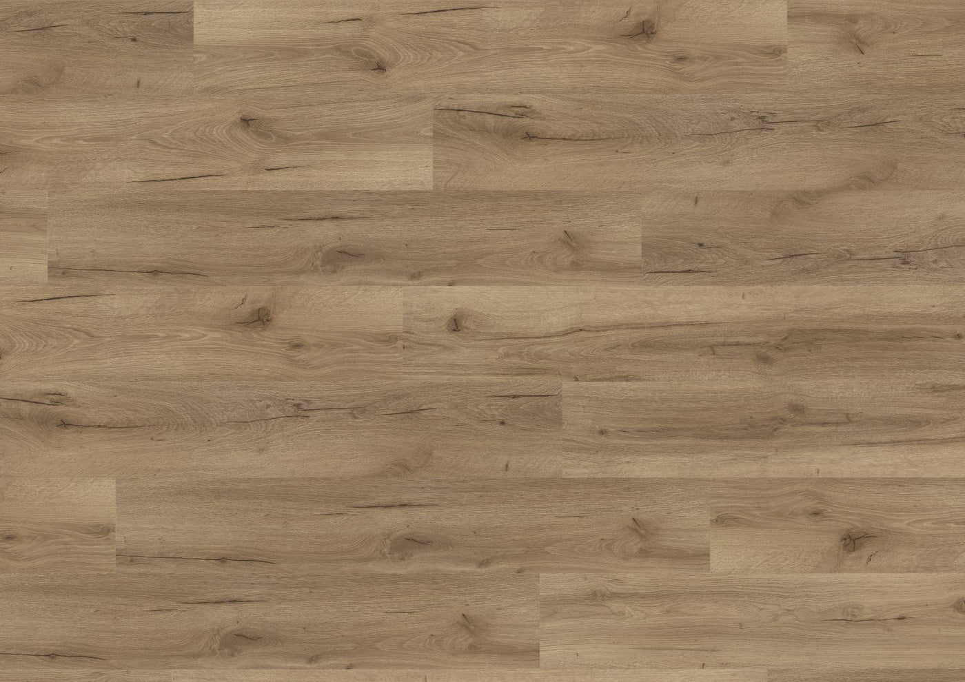 Lignum Fusion — Albany Oak