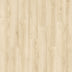 Aurora — Olive Oak