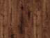River — Thames Oak