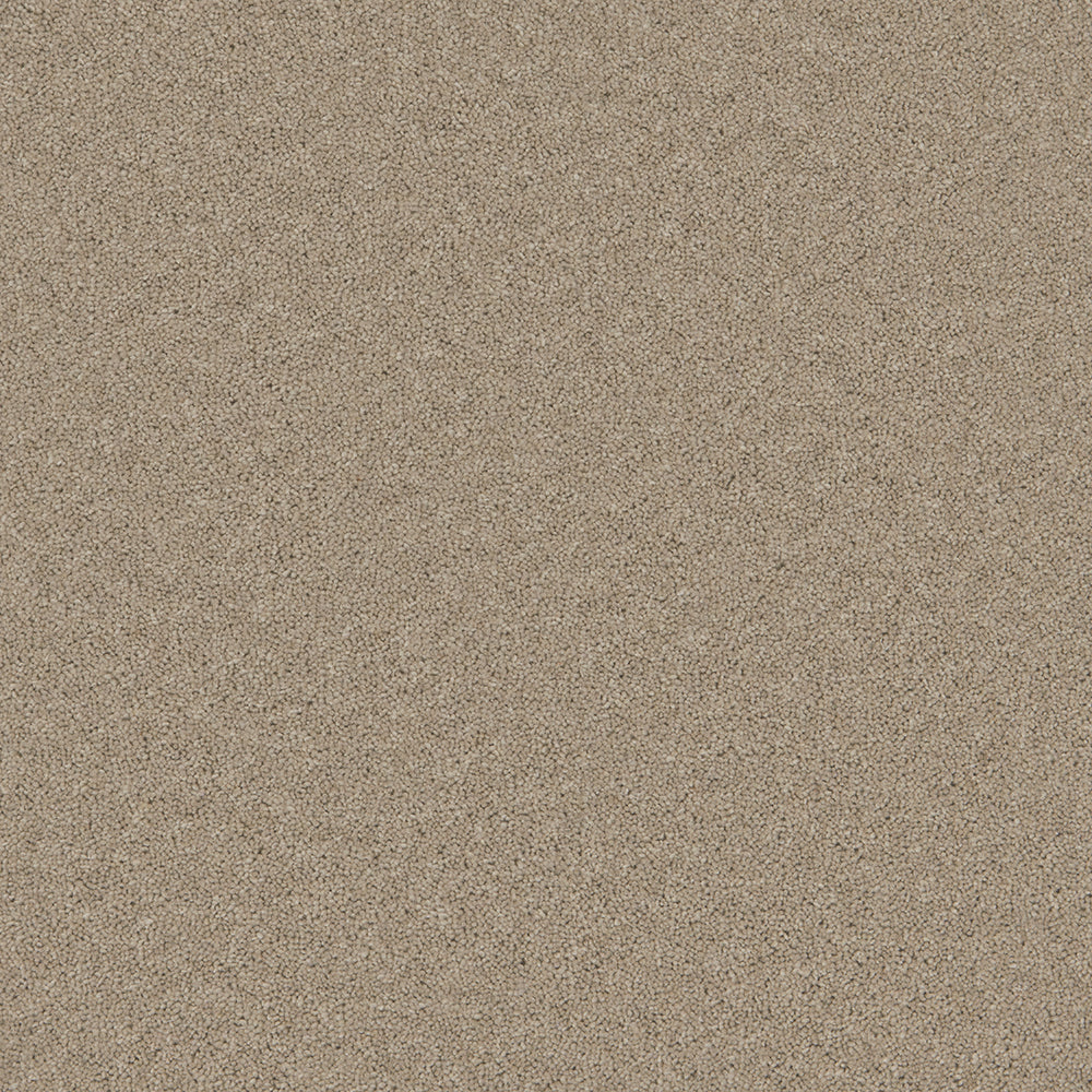 Timeless — Tranquil Truffle