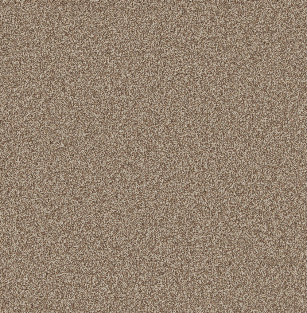 Woodland — Forest Bark
