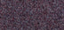 Primavera — Plum