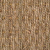 Seagrass — Panama Natural