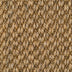 Sisal Bengal — Ranakpur