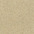 Drop Cloth