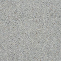 Dolphin Grey