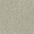 Dove Grey