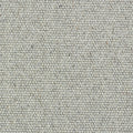 Dolphin Grey