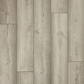 Arctic Oak