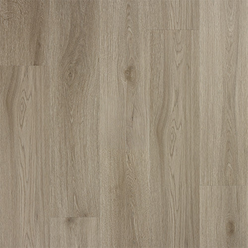 Eminence Dryback — Urban Grey