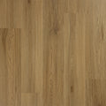 Chestnut