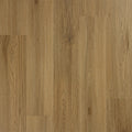 Chestnut