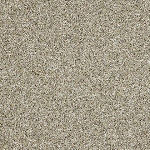 Stainfree — Knightsbridge Berber