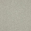 Dusty Fossil