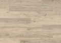 Colorado Oak