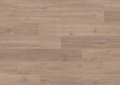Khaki Oak
