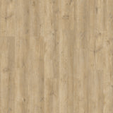 Aurora — Bayla Oak