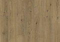 Beaufort Oak