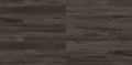 Black Oak