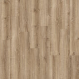 Carina — Bowerston Oak