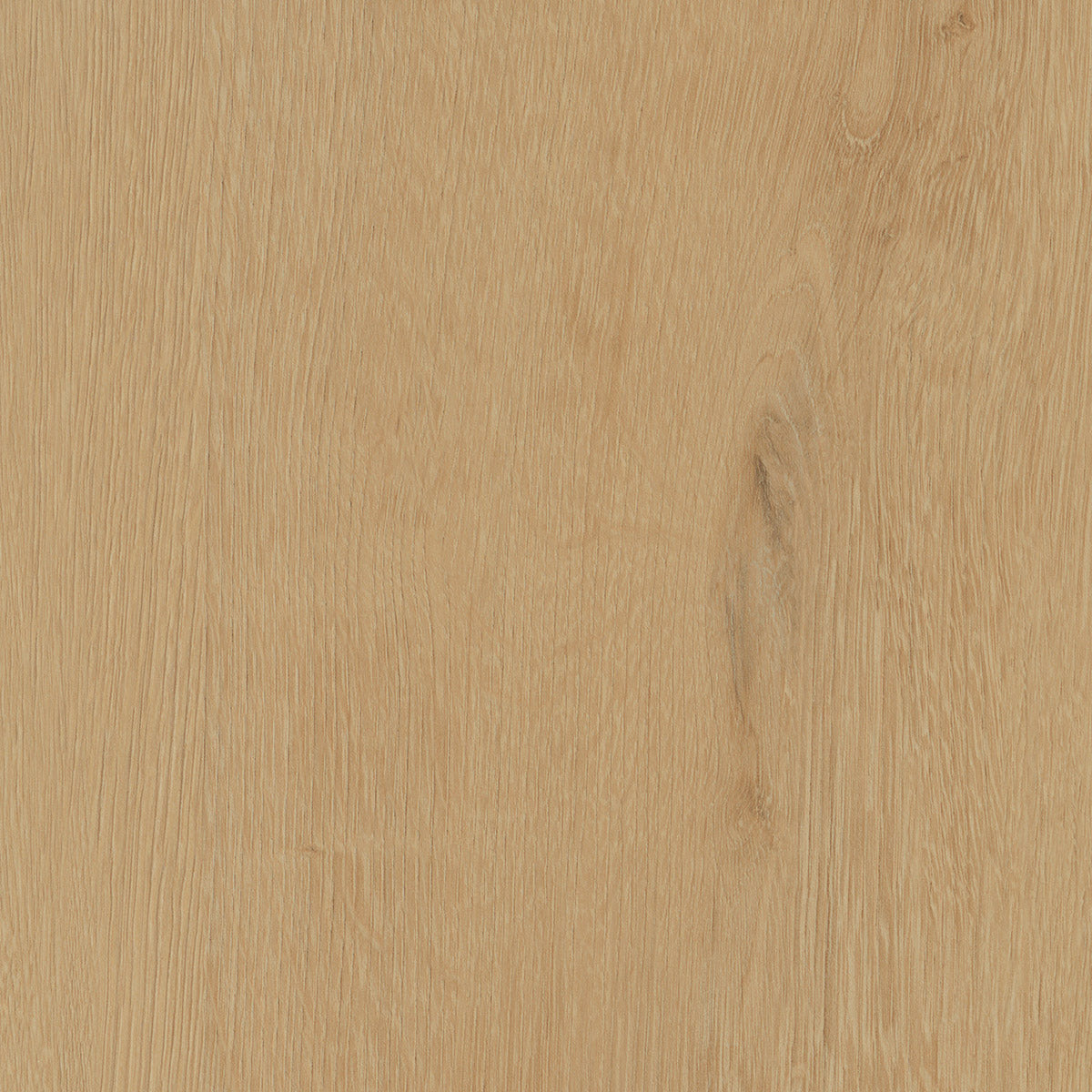 Belrose Oak — Sesame