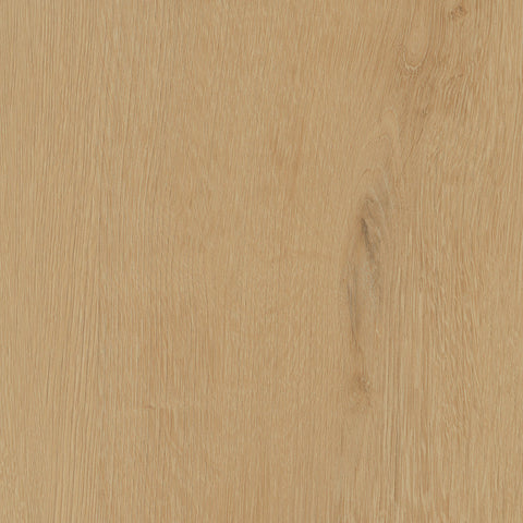 Invictus Ultimus — Belrose Oak