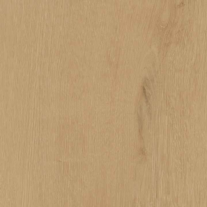 Belrose Oak