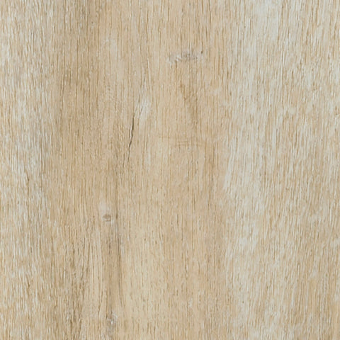 Invictus Ultimus — Cabin Oak