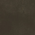 Charcoal
