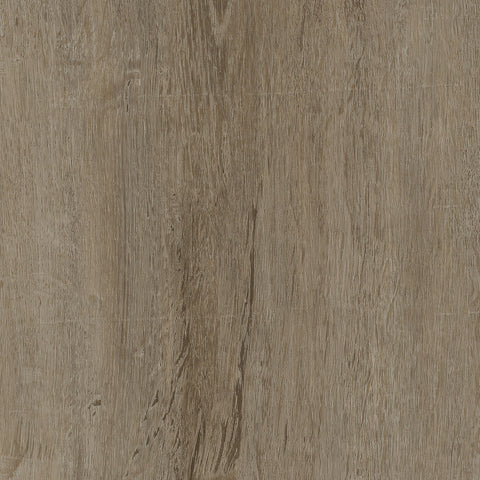 Invictus Maximus — Country Oak