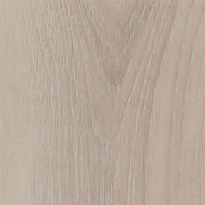 Divine Oak