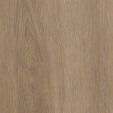 Divine Oak — Cookie