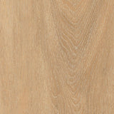 Majestic Oak — Vista