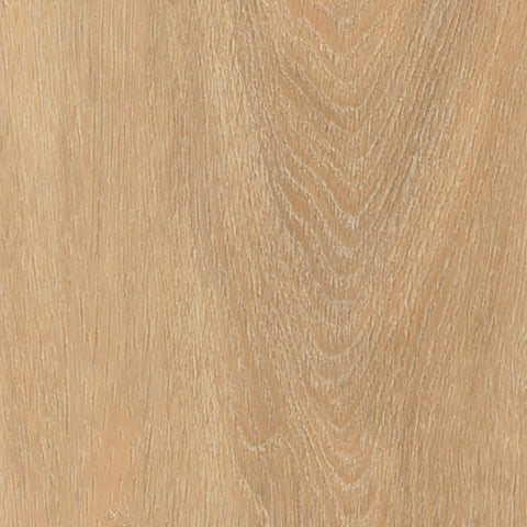 Invictus Ultimus — Majestic Oak