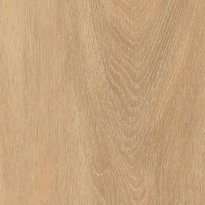 Majestic Oak