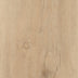 Majestic Oak — Playa