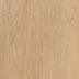 Majestic Oak — Sierra