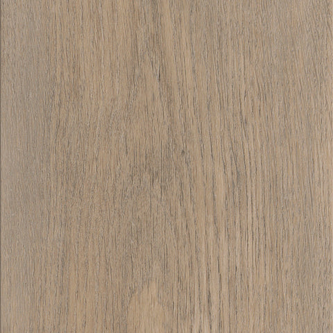Invictus Maximus — New England Oak