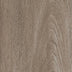 New England Oak — Dusk