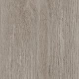 New England Oak — Misty