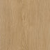 Regency Oak — Brioche