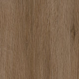 Regency Oak — Brownie