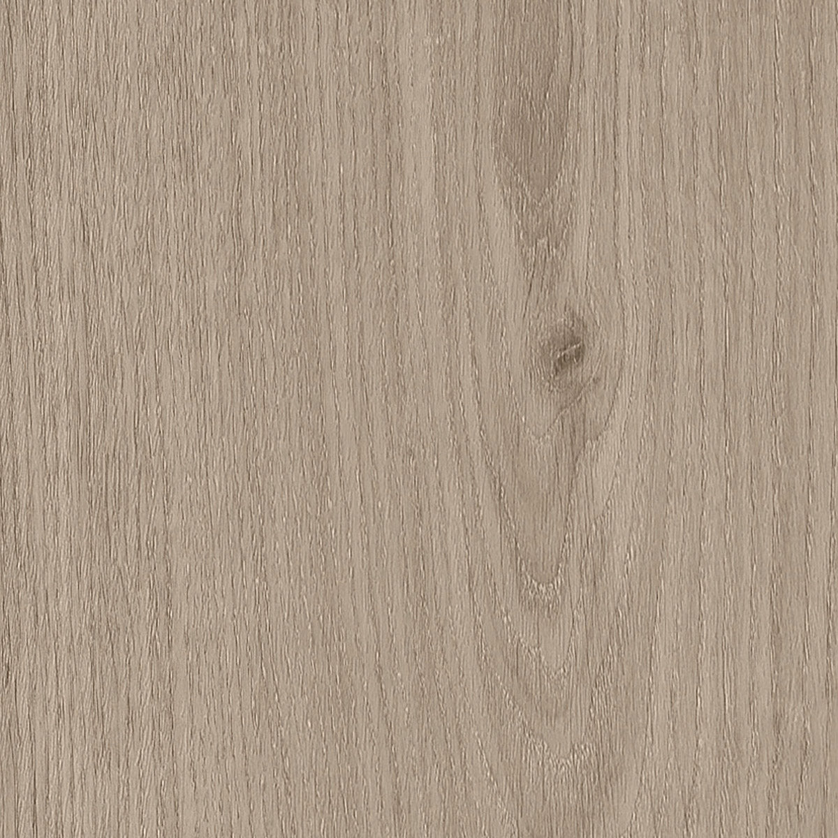 Sherwood Oak — Shell