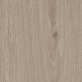 Sherwood Oak — Shell