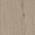 Sherwood Oak — Shell
