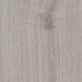 Sherwood Oak — Fossil