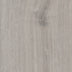 Sherwood Oak — Fossil